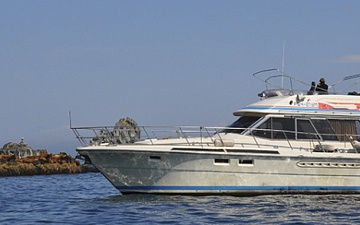 Тур 025. Камчатская морская рыбалка для профессионалов и любителей (апрель-октябрь)